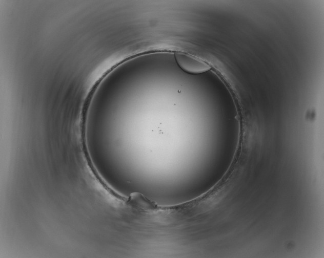 X0000111210902200907011440