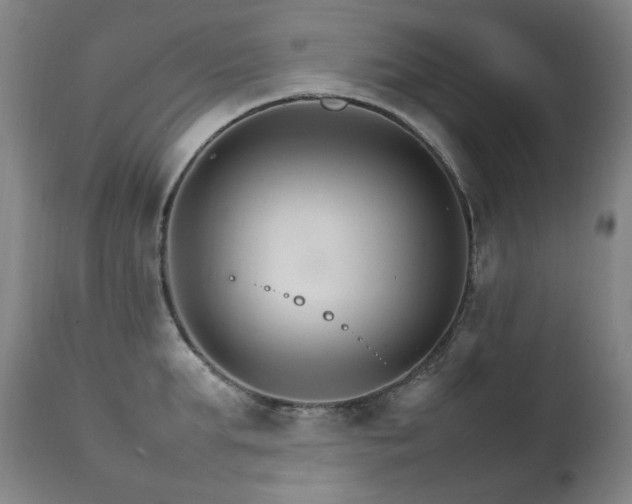 X0000111210903200907011440