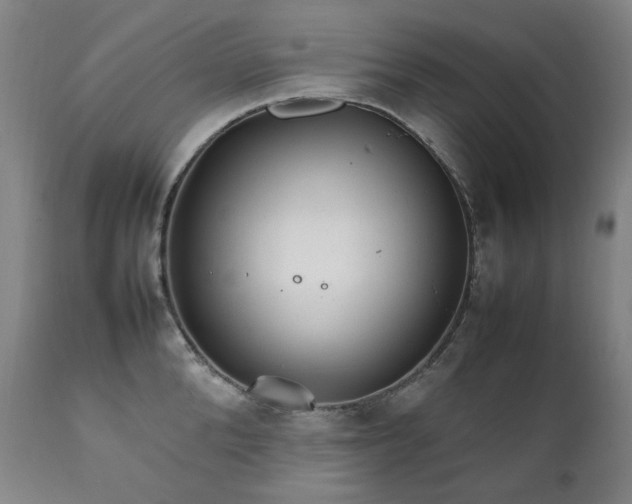 X0000111210904200907011440