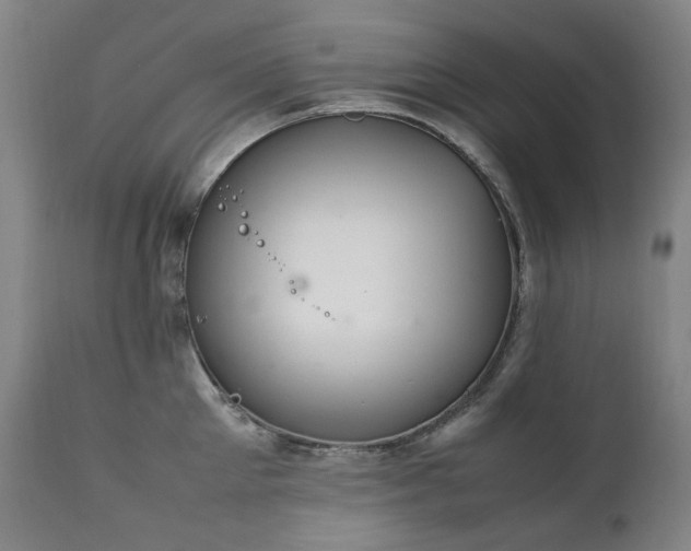 X0000111210905200907011440