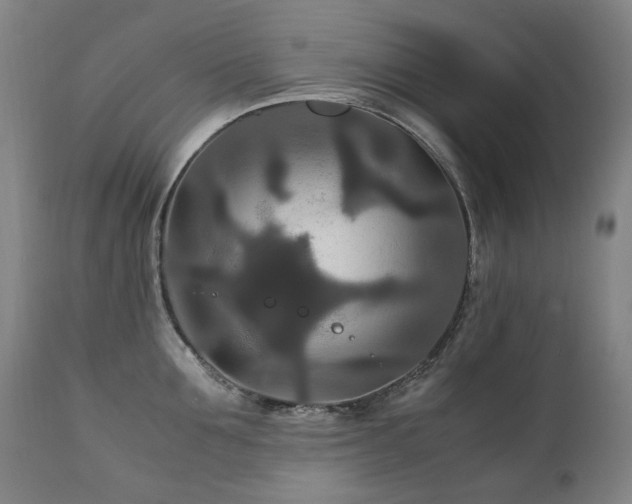 X0000111210907200907011440