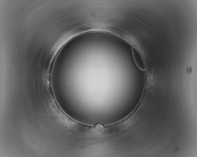 X0000111210908200907011440