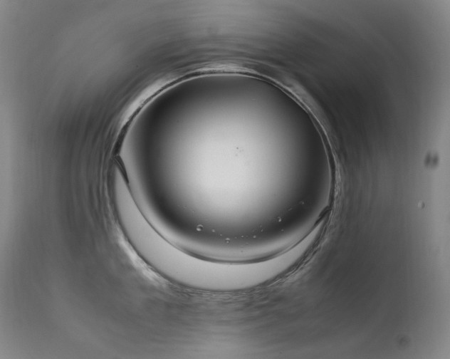 X0000111210909200907011440