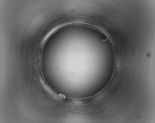 X0000111210911200907011440