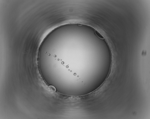 X0000111210912200907011440