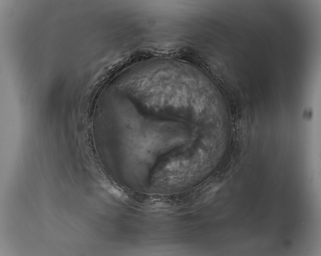 X0000111210913200907011439