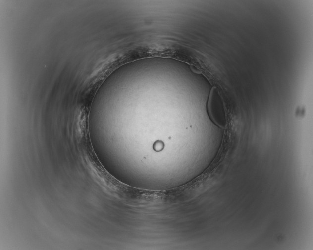 X0000111210914200907011439