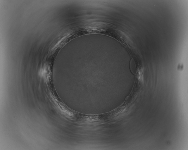 X0000111210915200907011439