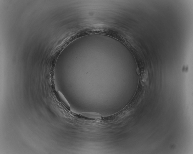 X0000111210916200907011439