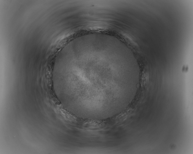 X0000111210917200907011439