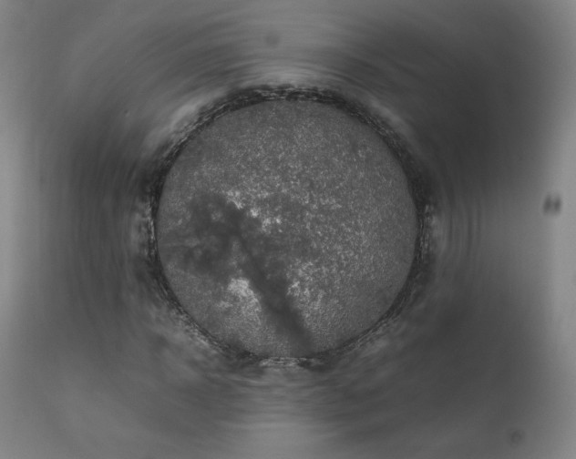 X0000111210918200907011439