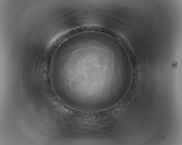 X0000111210919200907011439