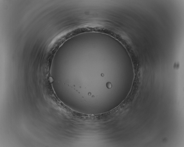 X0000111210920200907011439