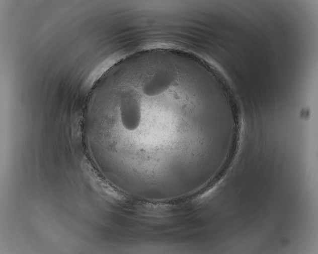 X0000111210921200907011439