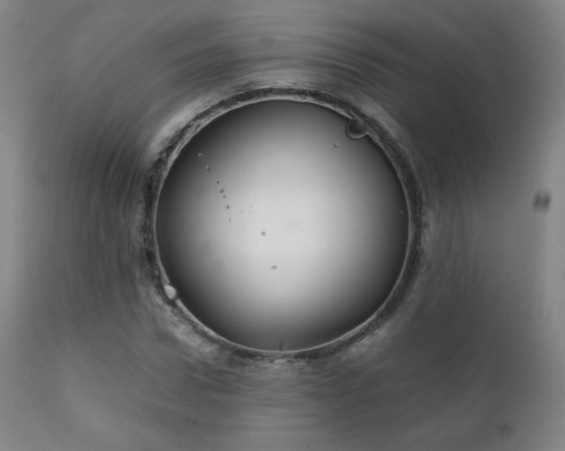 X0000111210922200907011439