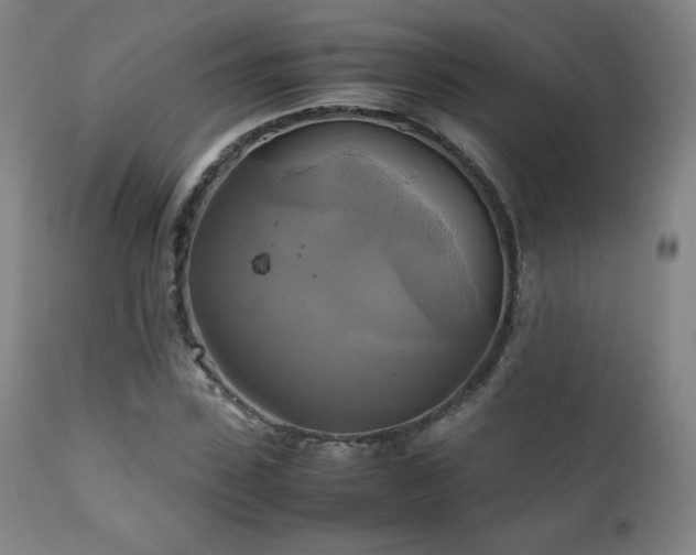 X0000111210923200907011440