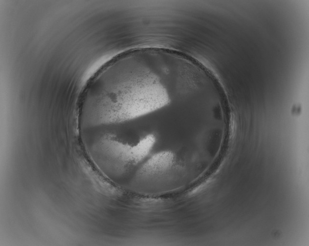 X0000111210925200907011440