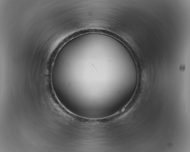 X0000111210926200907011440