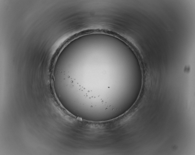 X0000111210927200907011440