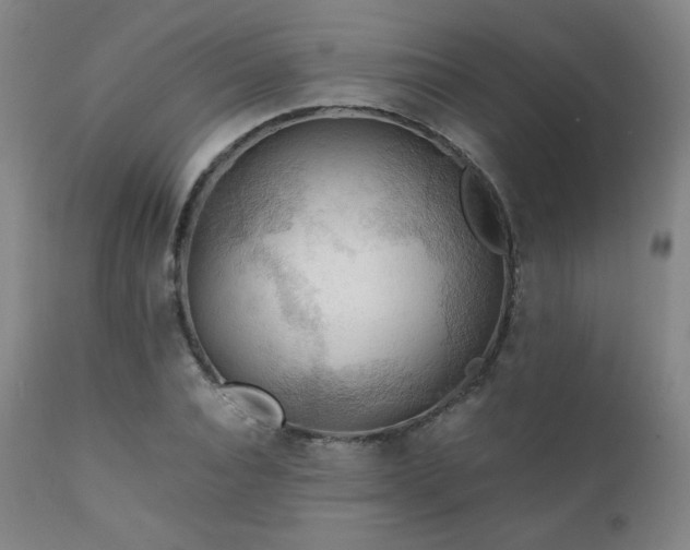 X0000111210928200907011440