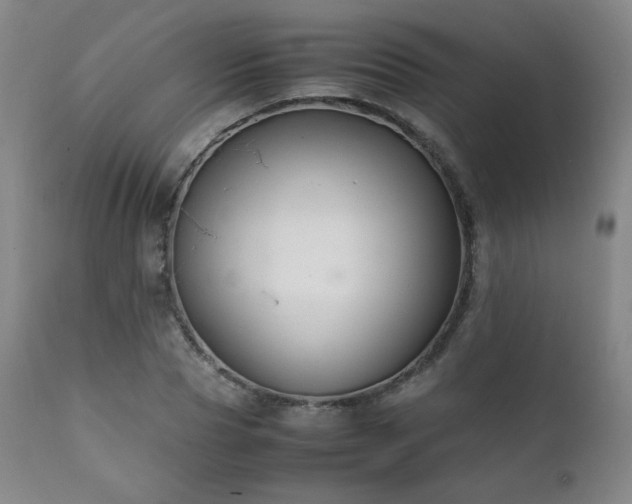 X0000111210929200907011440