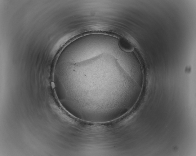 X0000111210930200907011440