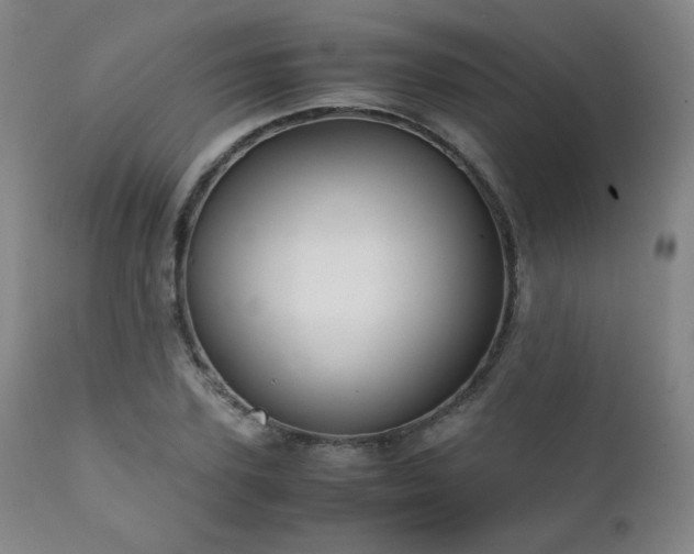 X0000111210931200907011440