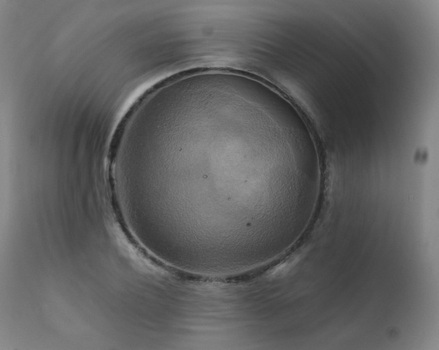 X0000111210932200907011440