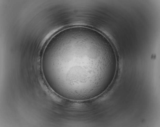 X0000111210933200907011440