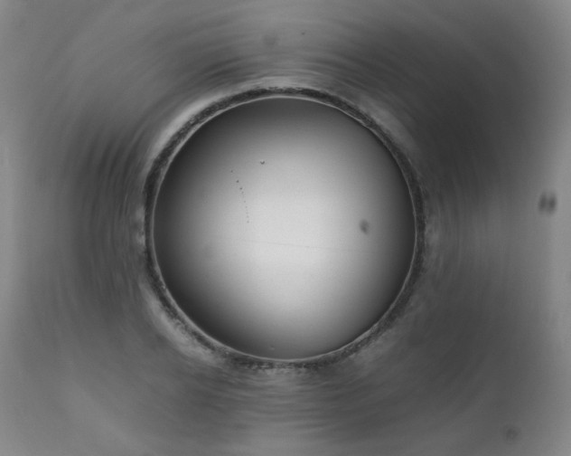 X0000111210934200907011440