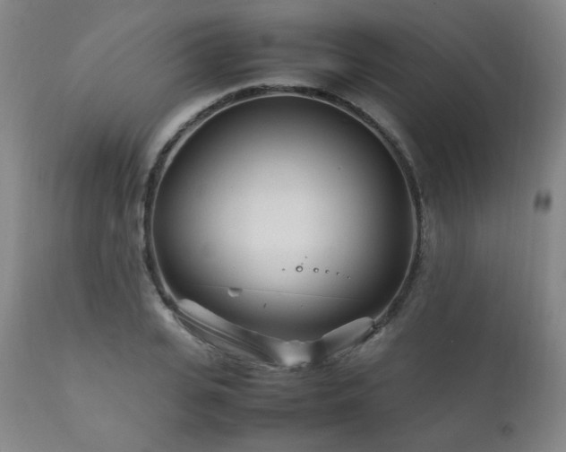 X0000111210935200907011440