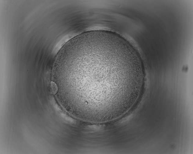 X0000111210937200907011440