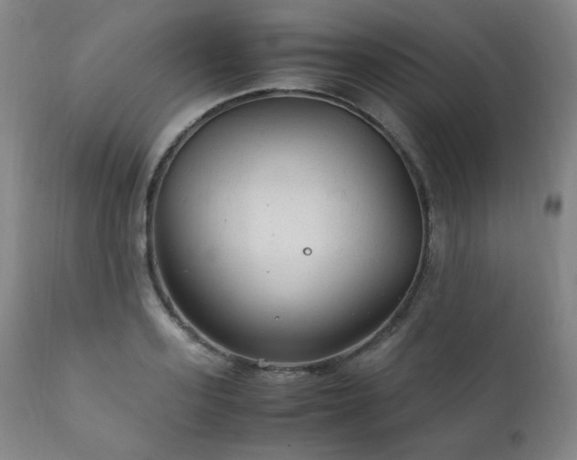 X0000111210939200907011440