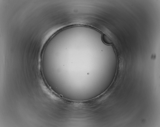 X0000111210940200907011440