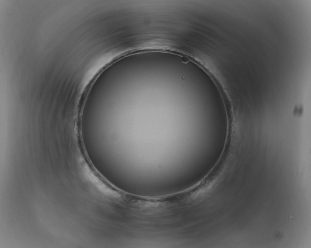 X0000111210941200907011440