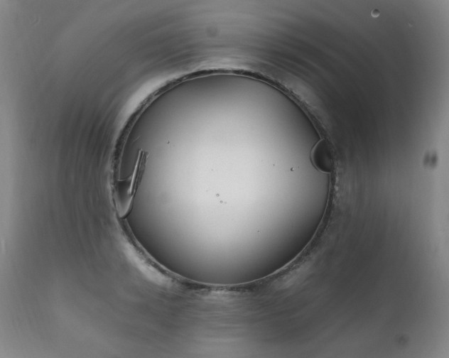 X0000111210942200907011440