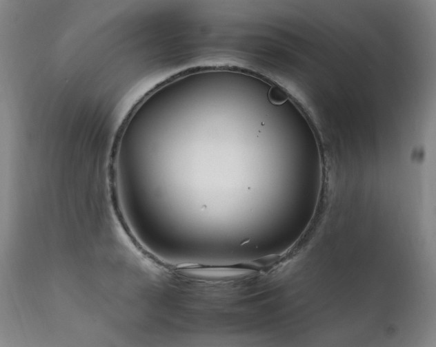 X0000111210943200907011440