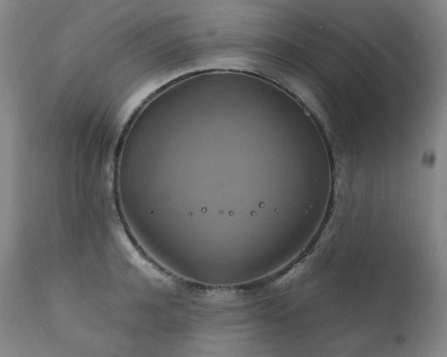 X0000111210944200907011440