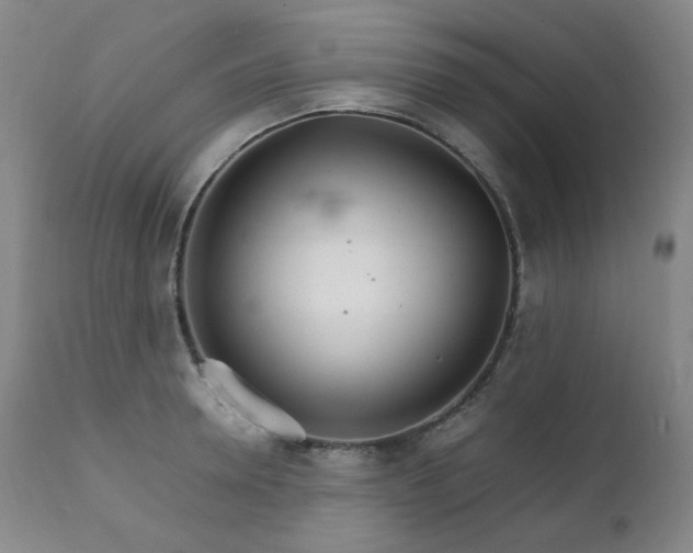 X0000111210946200907011440