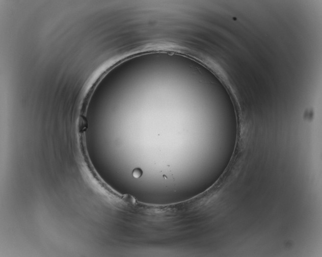 X0000111210947200907011440