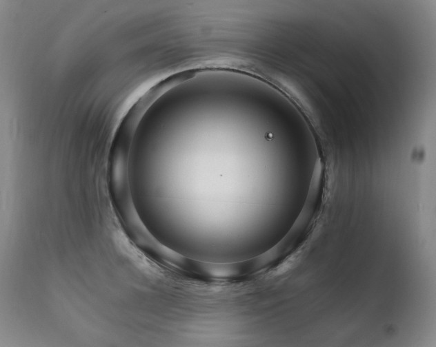 X0000111210948200907011440