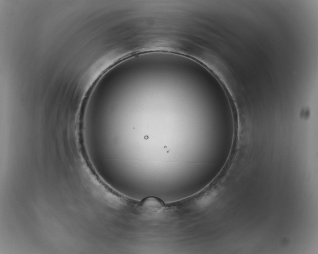 X0000111210949200907011440