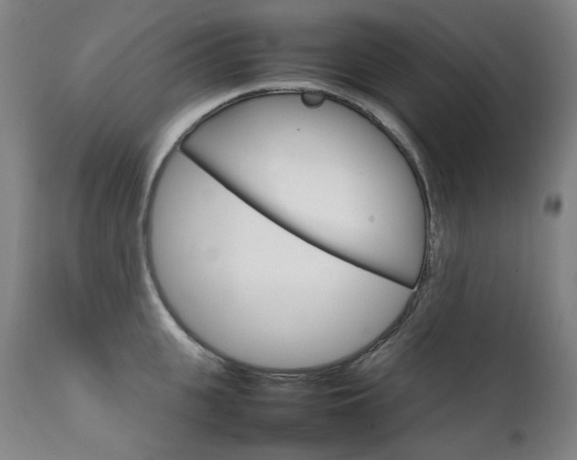 X0000111210951200907011440