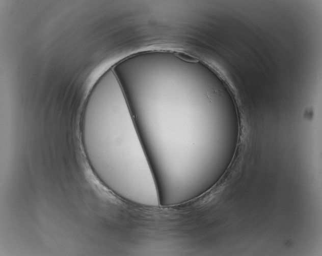 X0000111210952200907011440