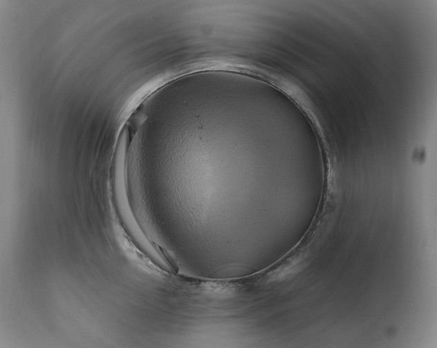 X0000111210954200907011440