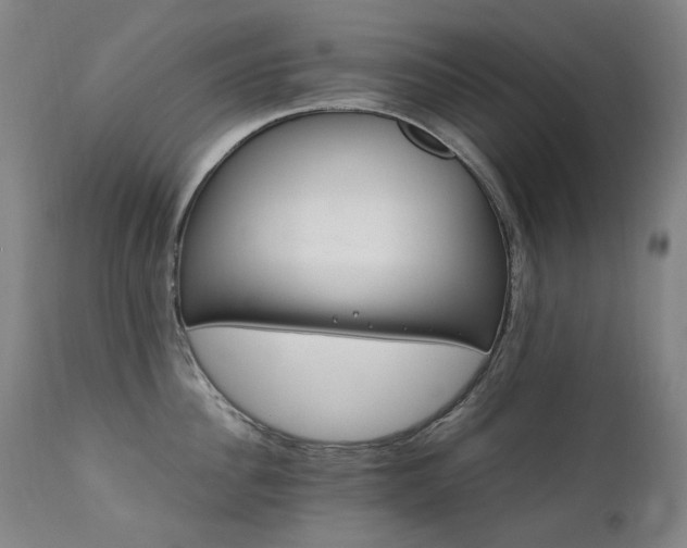 X0000111210956200907011440