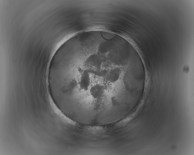 X0000111210957200907011440