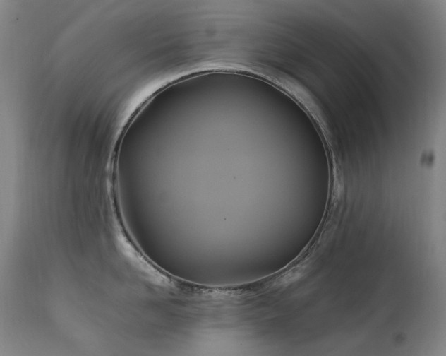 X0000111210958200907011440