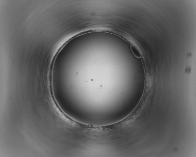 X0000111210959200907011440