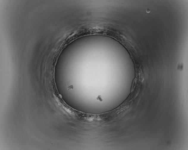 X0000111210961200907011439